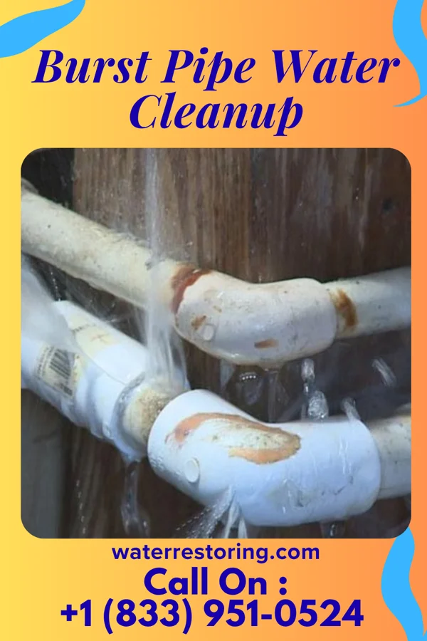 Burst Pipe Water Cleanup in Manor Creek, KY