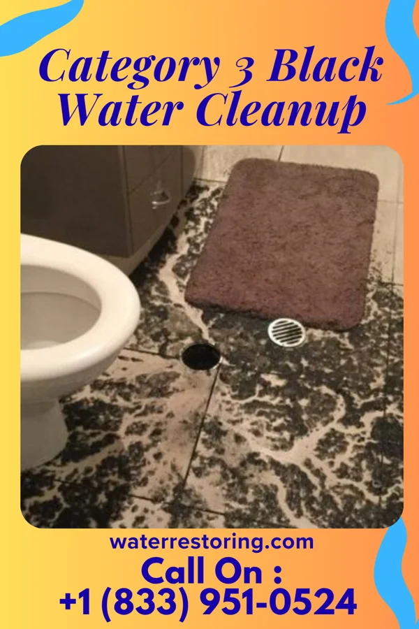 Category 3 Black Water Cleanup in Manor Creek, KY