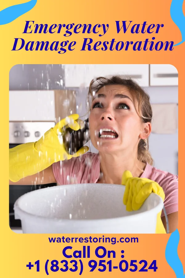 Emergency Water Damage Restoration in Manor Creek, KY