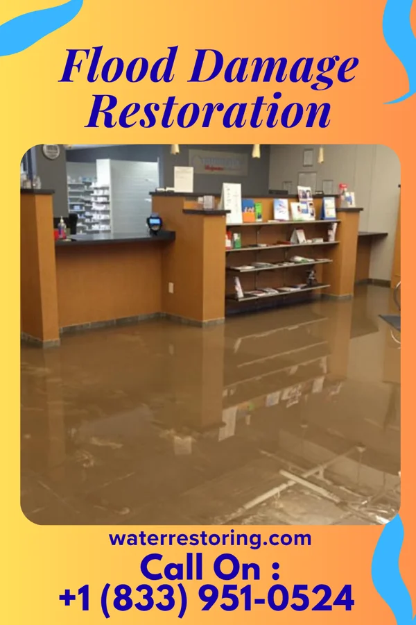 Flood Damage Restoration in Manor Creek, KY