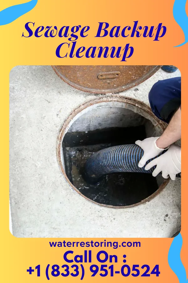 Sewage Backup Cleanup in Manor Creek, KY