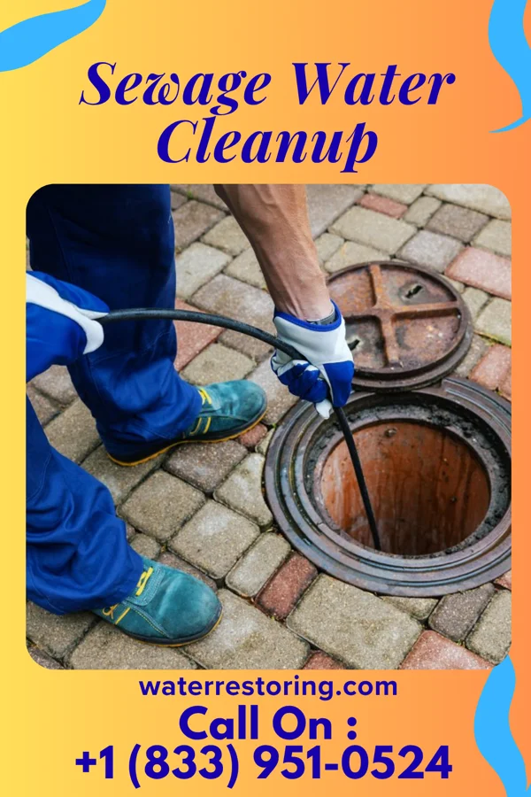 Sewage Water Cleanup in Manor Creek, KY